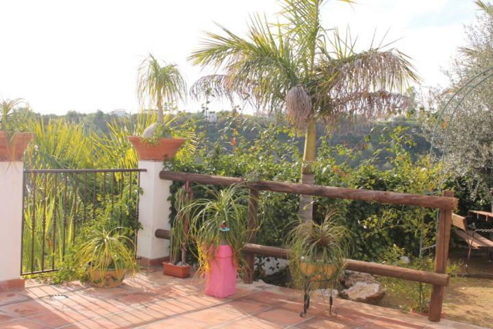 Villa El Nido Nerja Exterior foto